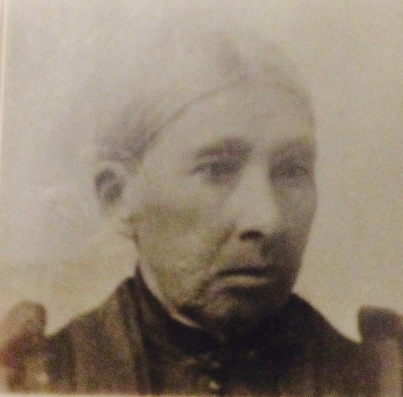 Harriet Eloise Snider Johnson (1823 - 1905) Profile